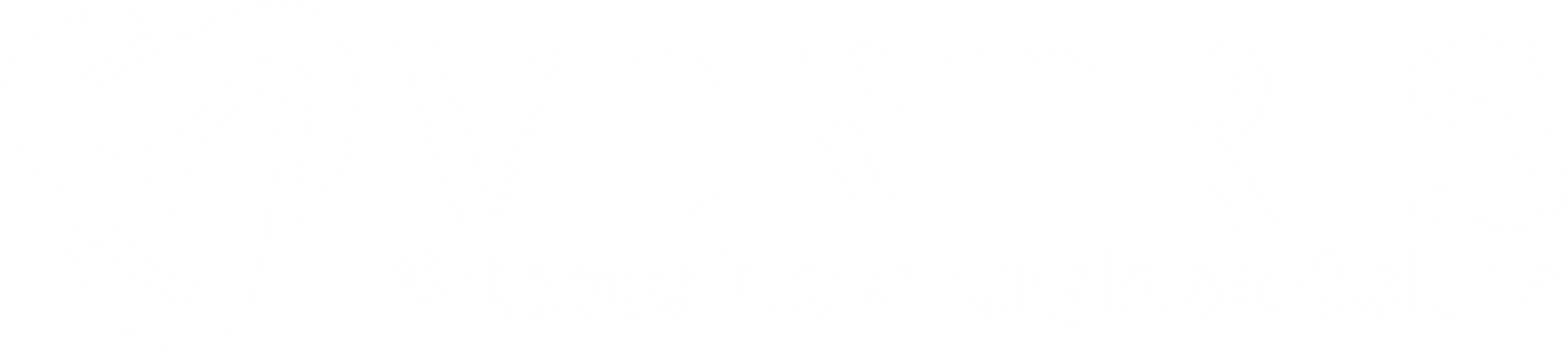 Logo Vertris